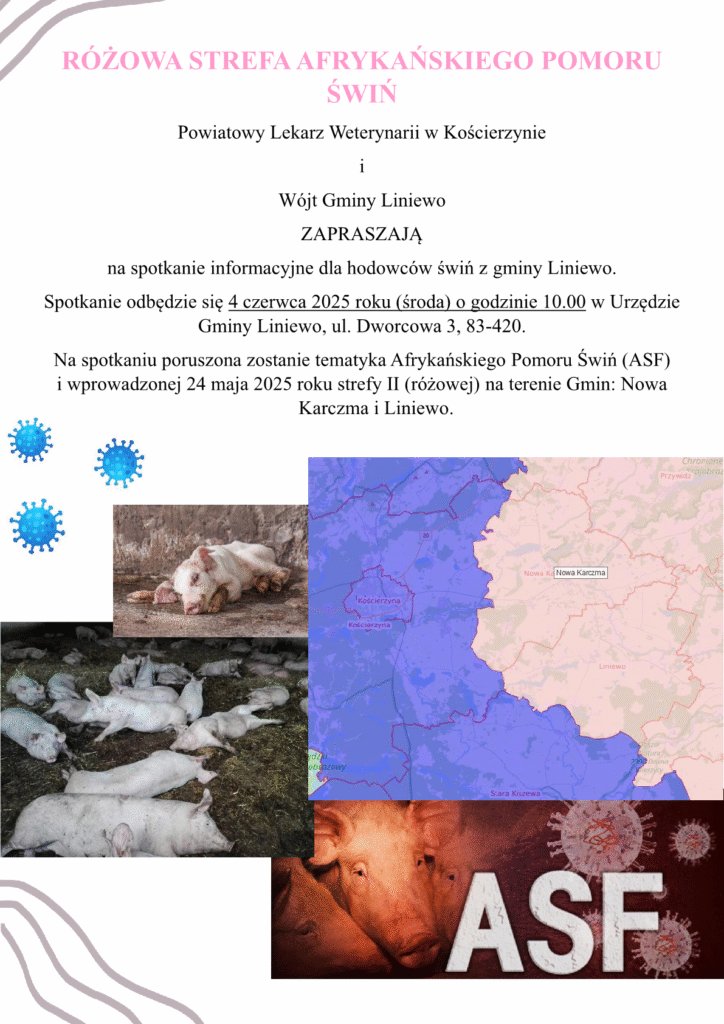 RÓŻOWA STREFA AFRYKAŃSKIEGO POMORU ŚWIŃ - PLAKAT