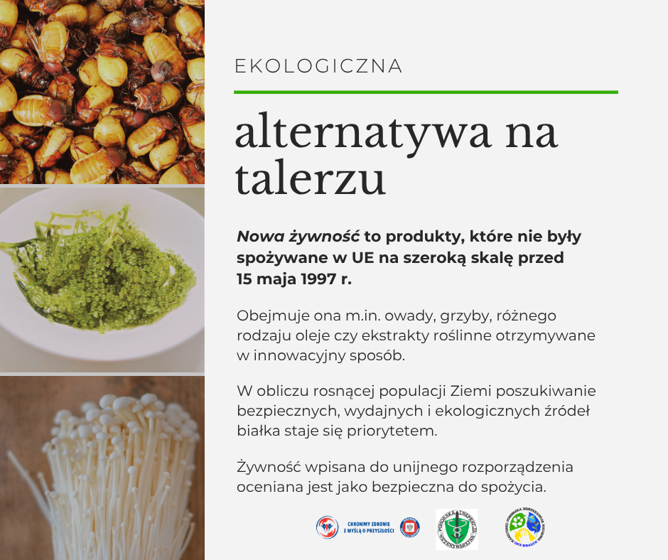 grafika - ekologiczna alternatywa na talerzu