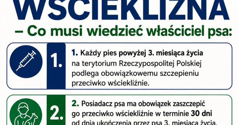 Wścieklizna – Co musi wiedzieć właściciel psa