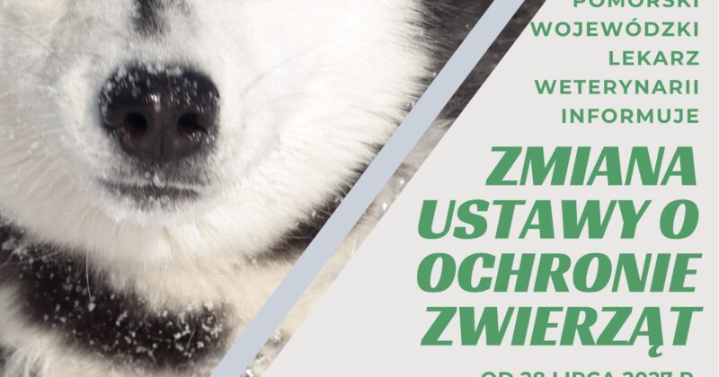 Pomorski Wojewódzki Lekarz Weterynarii informuje – zmiana ustawy o ochronie zwierząt